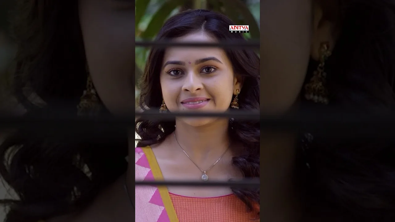 JagadekaVeera Song (Song)